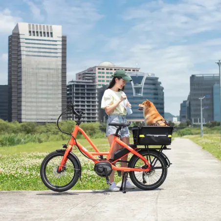 Soft Crate Mini (caisse arrière) - Tern