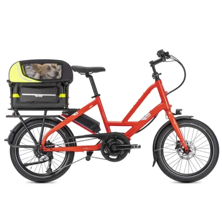 Dog Roof Mini - Tern