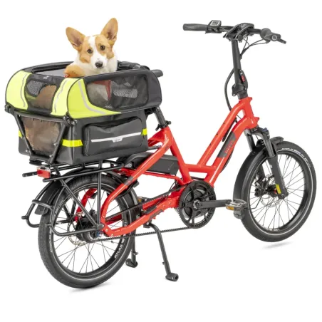 Dog Roof Mini - Tern