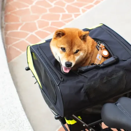 Dog Roof Mini - Tern