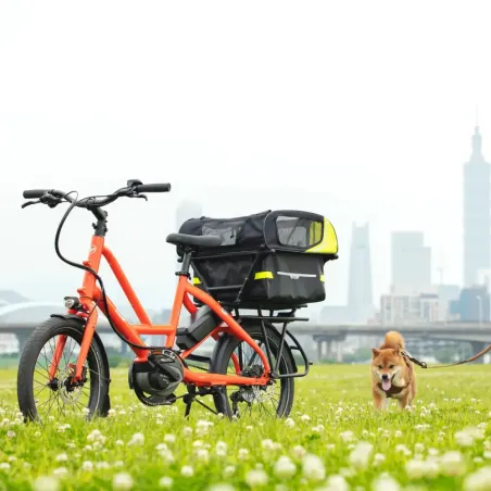 Dog Roof Mini - Tern
