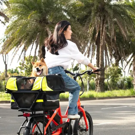 Dog Roof Mini - Tern