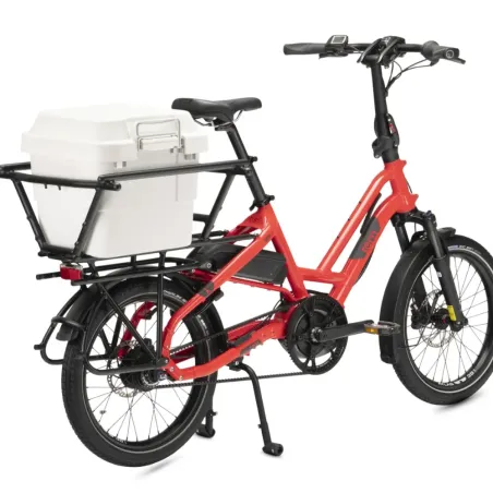 Clubhouse Mini - Tern