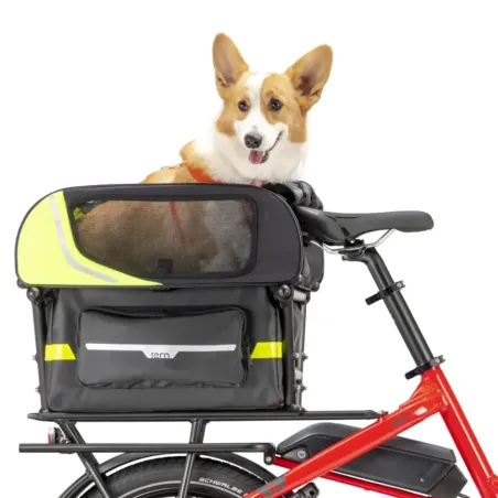 Dog Roof Mini - Tern