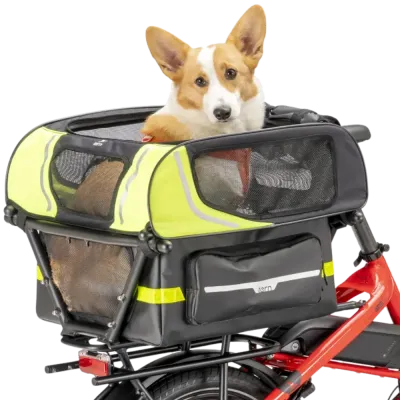 Dog Roof Mini - Tern