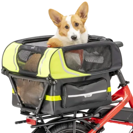 Dog Roof Mini - Tern