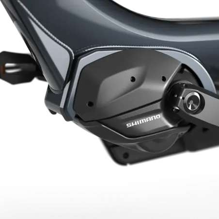 Gazelle Easyflow C8 - Holland Bikes