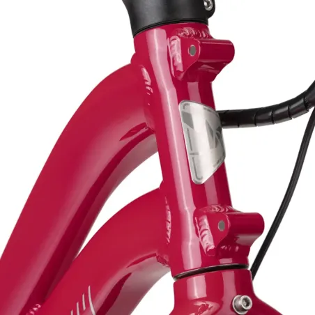 Tern NBD P8i - Vélo longtail électrique reconditionné