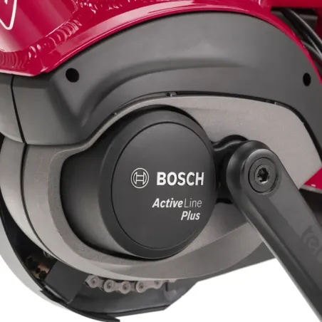 Tern NBD P8i - Vélo longtail électrique reconditionné