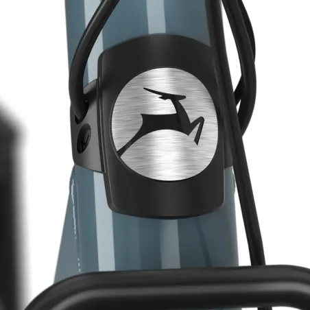 Bloom C7 26 "- Vélo porteur - Holland Bikes