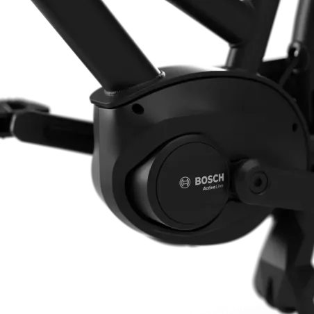 Vélo électrique Gazelle Heavy Dutch NL C7 HMB