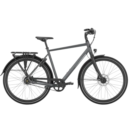 Gazelle Chamonix S11 - Vélo Confortable