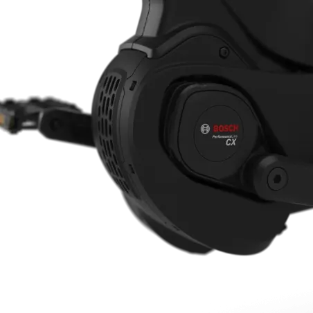 Vélo Longtail Cabby C380 - Gazelle - Holland Bikes