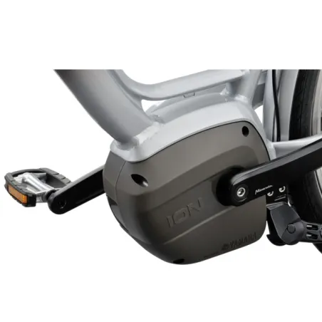 Wayz E-go Control Ltd - BATAVUS - vélo électrique