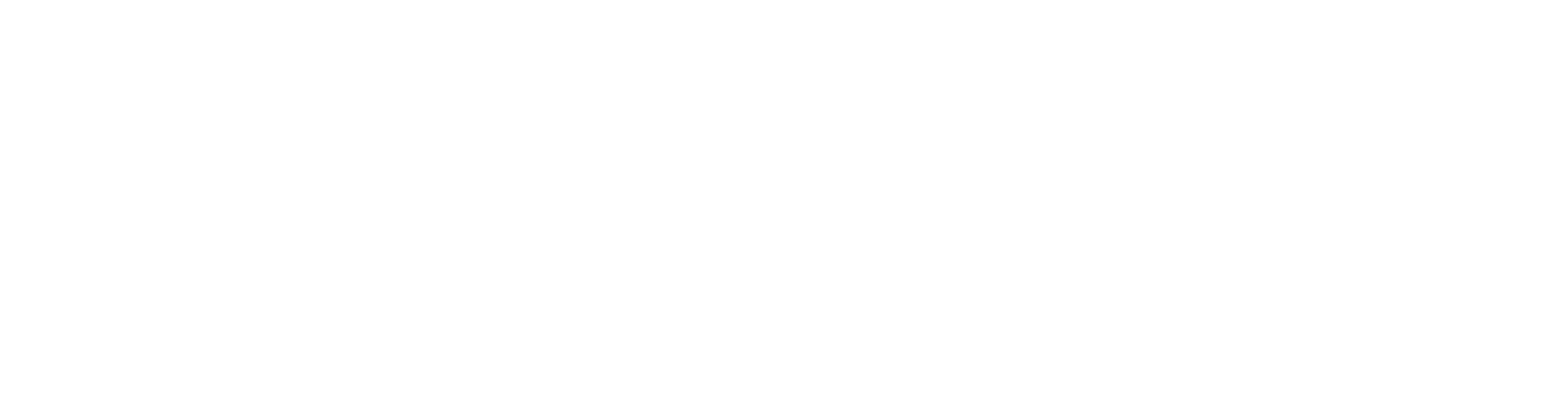 Logo Holland Bikes blanc